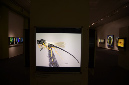 Wasp_exhibition__DSC3493